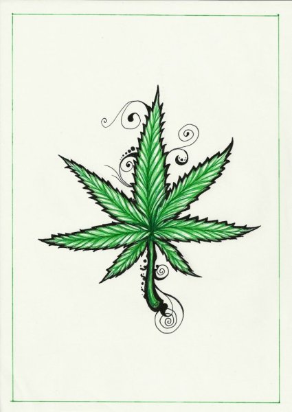Лист марихуаны/лист каннабиса
