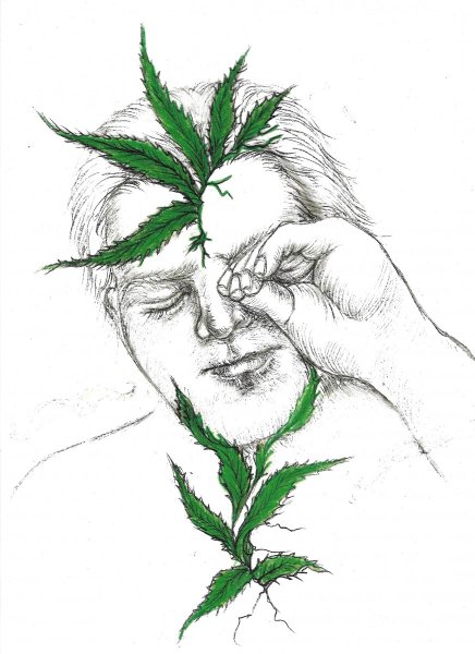 Джеффри марихуана