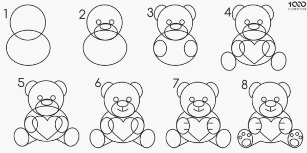 Как нарисовать мишку