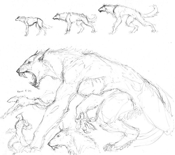 Вервольф оборотень референс