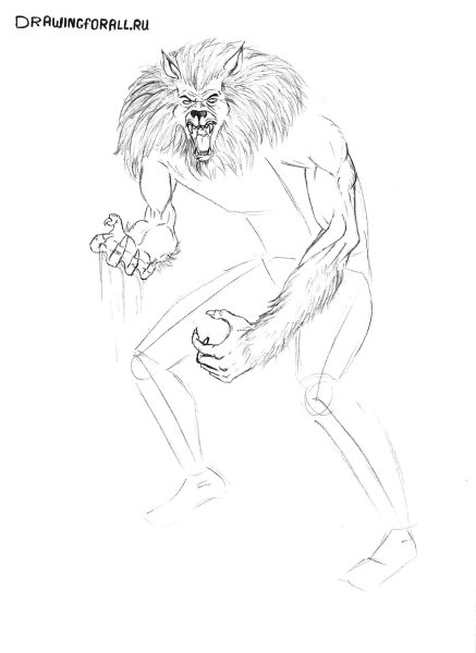 Поэтапное рисование оборотня