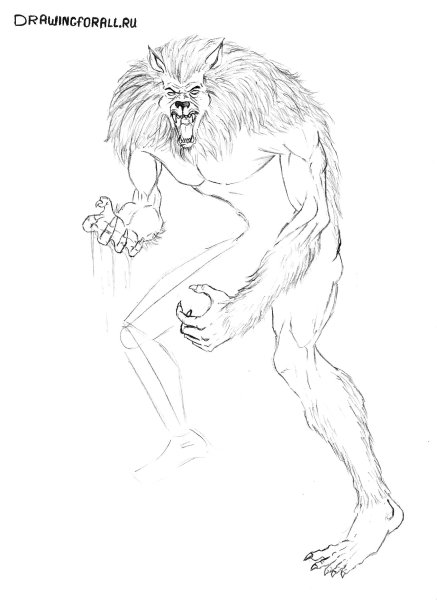 Поэтапное рисование оборотня