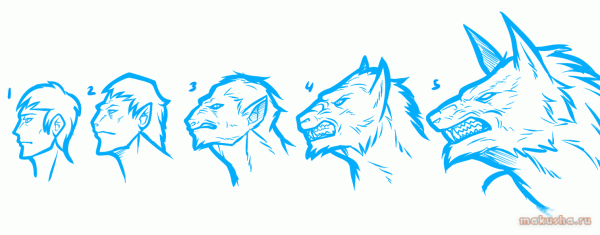 Рисунки на тему оборотень для срисовки