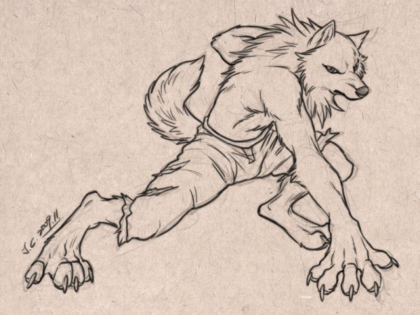 Поэтапное рисование оборотня