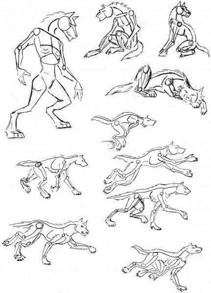 Нарисовать оборотня