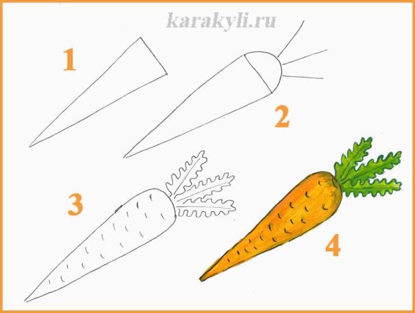 Поэтапное рисование овощей и фруктов