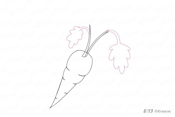 Поэтапное рисование морковки