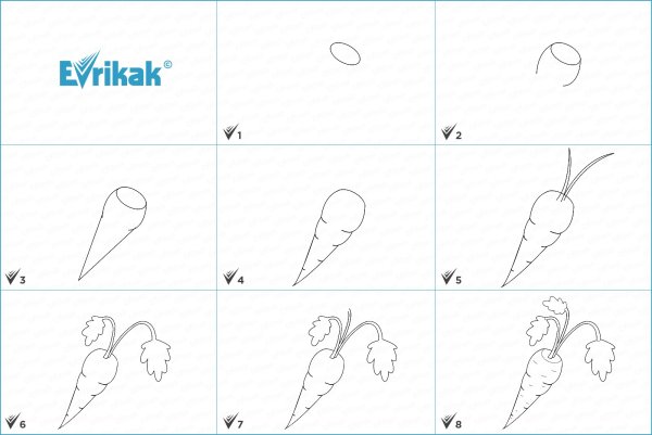 Поэтапное рисование моркови