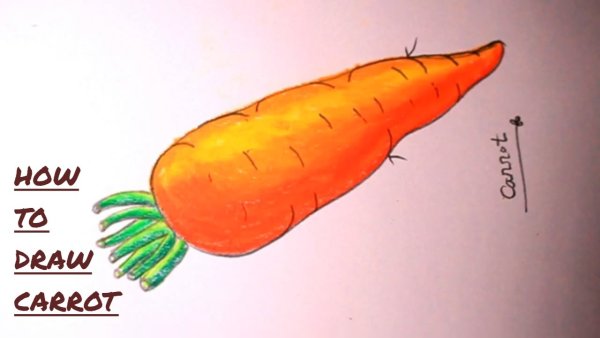 Шаговое рисование моркови для ребёнка