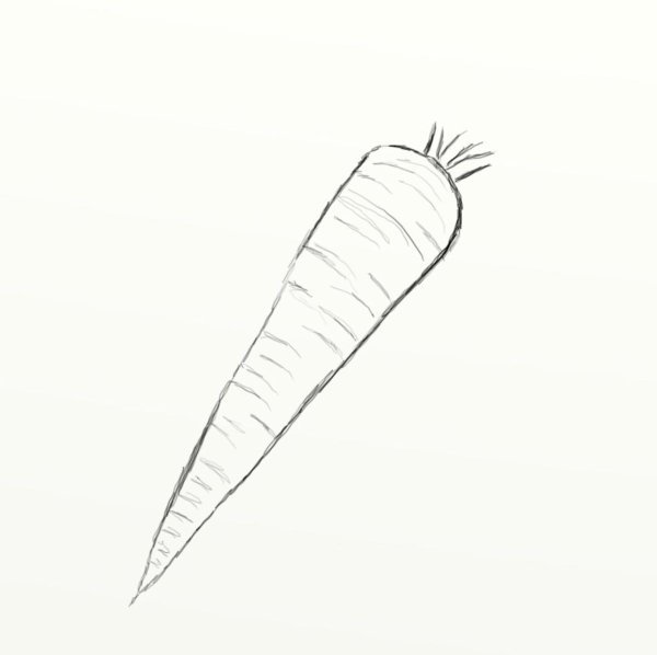 Морковь карандашом