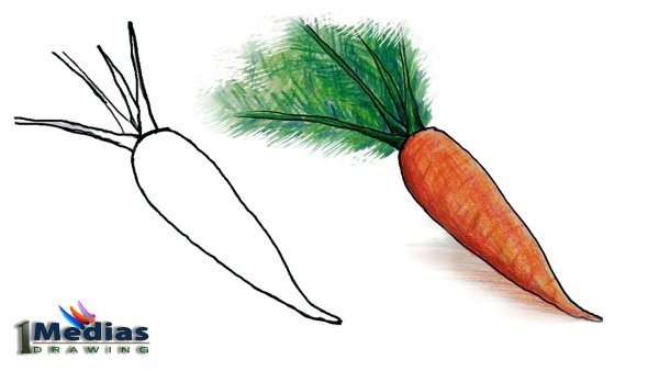 Морковь карандашом поэтапно