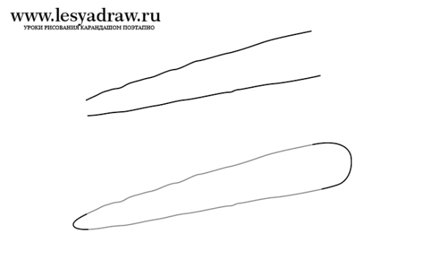 Рисунки для срисовки морковь