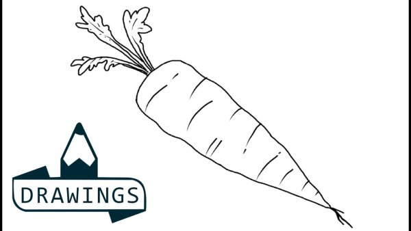 Поэтапное рисование овощей