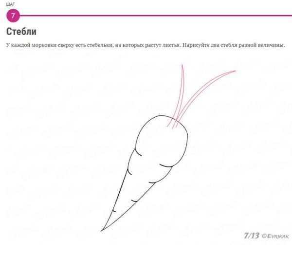 Рисование морковь