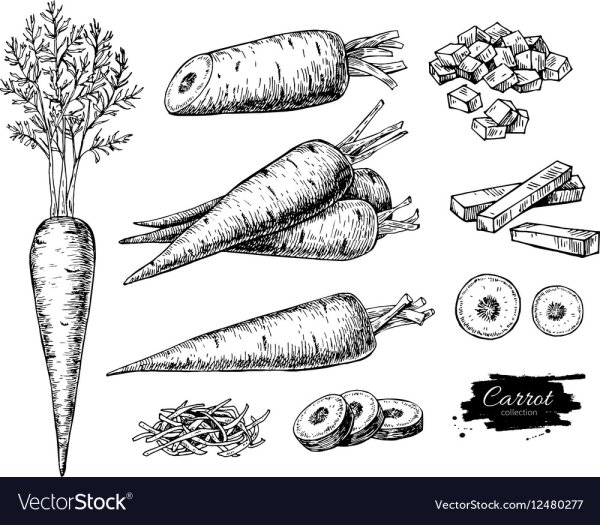 Рисование морковку для детей