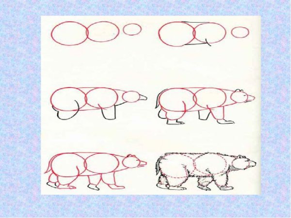 Рисование домашних птиц