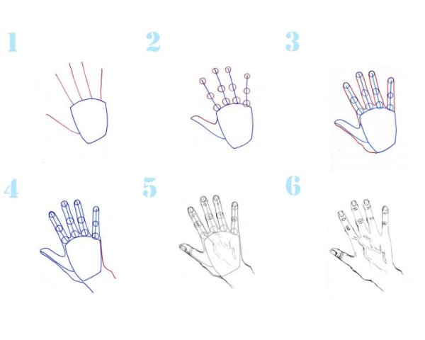 Схема рисования рук