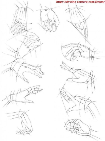 Уроки рисования рук