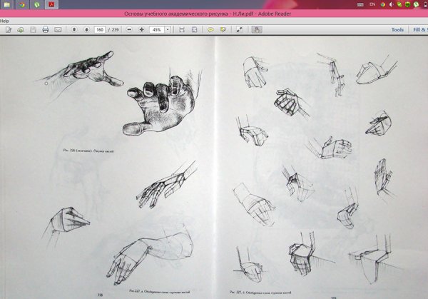 Николай ли кисти рук