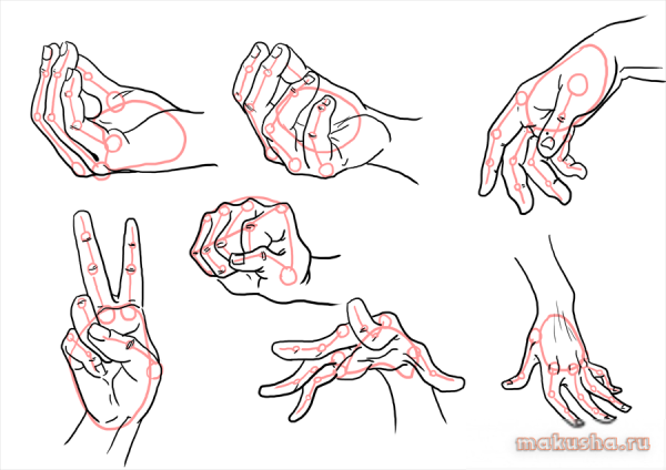 Кисти рук для рисования