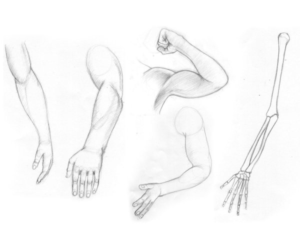 Уроки рисования рук