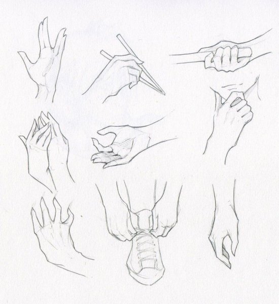 Анатомия кисти референс