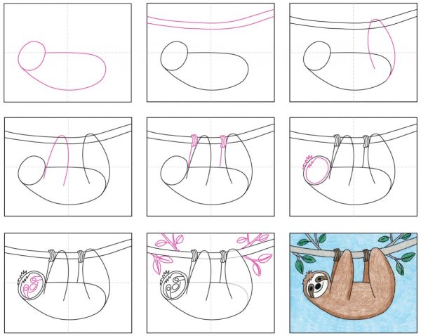 Поэтапное рисование ленивца