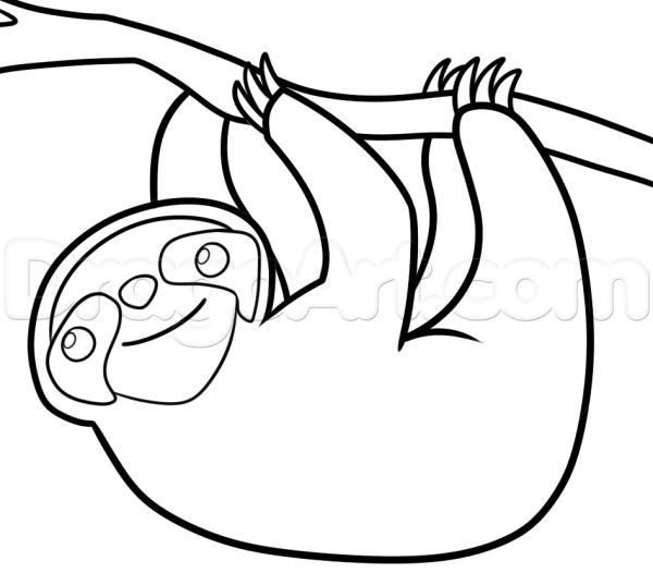 Ленивец контурный рисунок