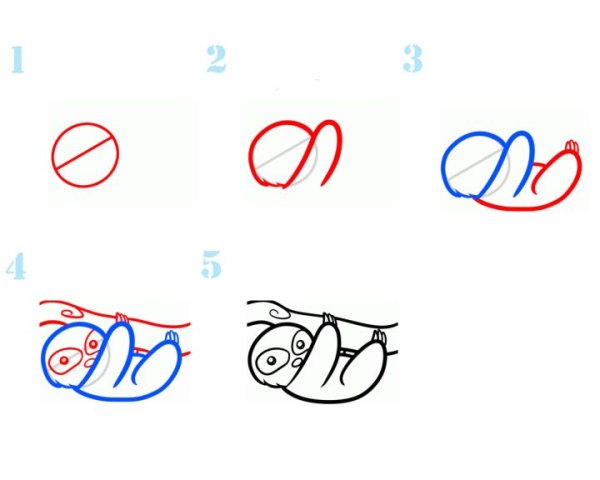 Поэтапное рисование ленивца