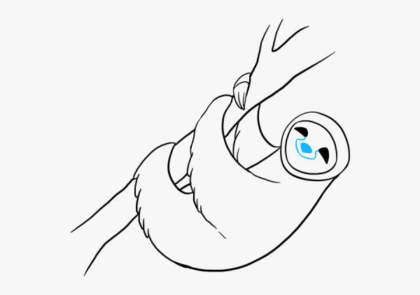 Ленивец рисунок поэтапно