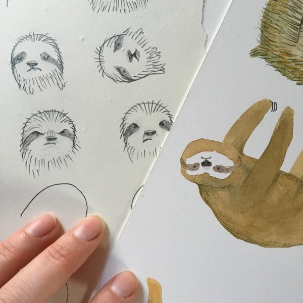 Поэтапное рисование ленивца