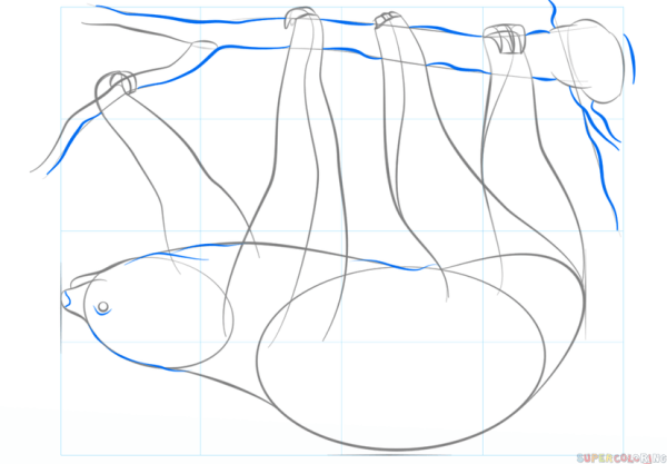 Ленивец пошаговый рисунок-схема