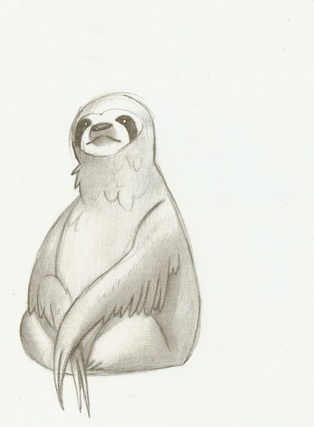 Ленивец карандашом