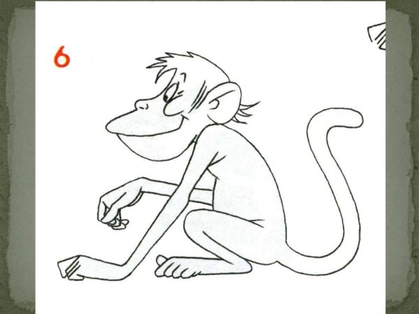 Мартышка и очки рисунок карандашом