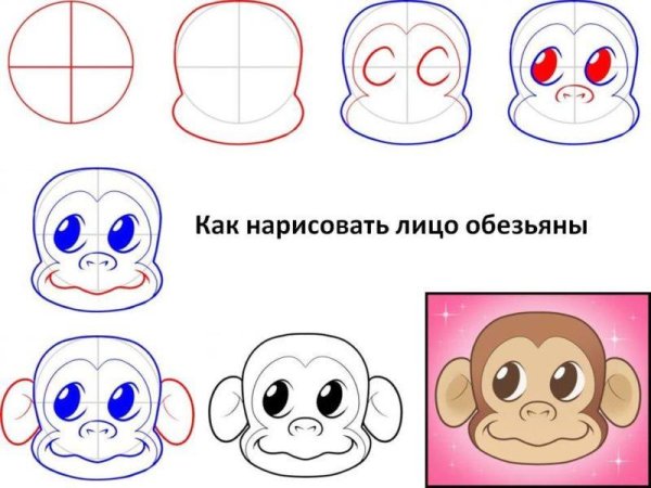 Как нарисовать обезьяну