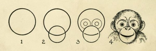 Схема рисования шимпанзе