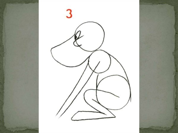 Презентация поэтапное рисование мартышки