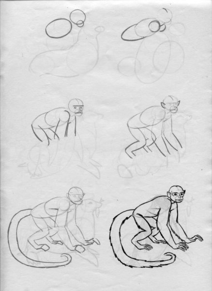 Рисунок про обезьянку 3 класс легко