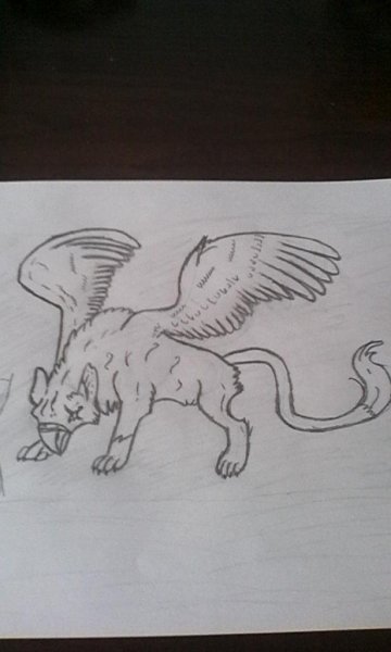 Грифон простым карандашом