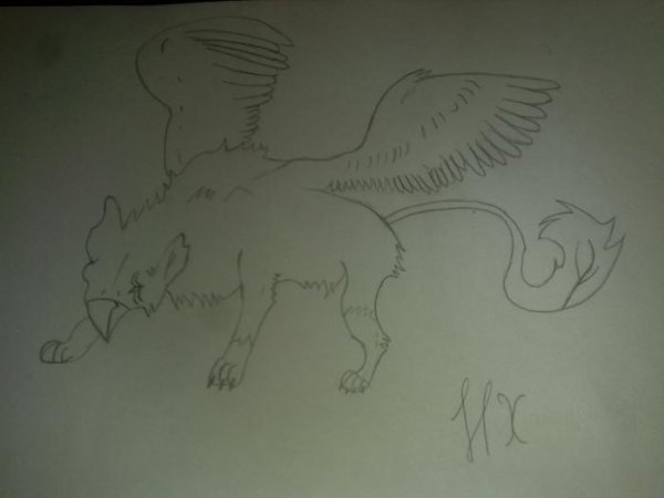 Грифон поэтапно