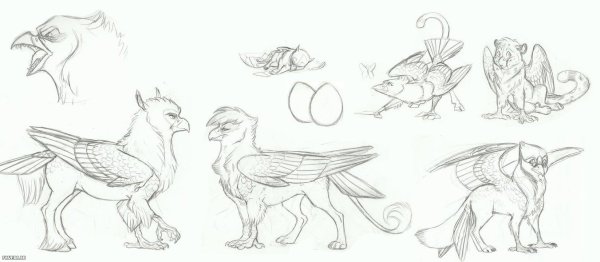 Лайн гиппогрифа