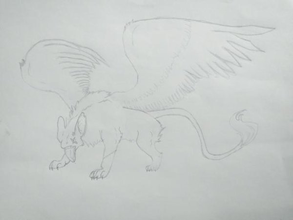 Нарисовать грифона пошаговый этап