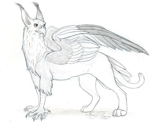Зарисовки грифона