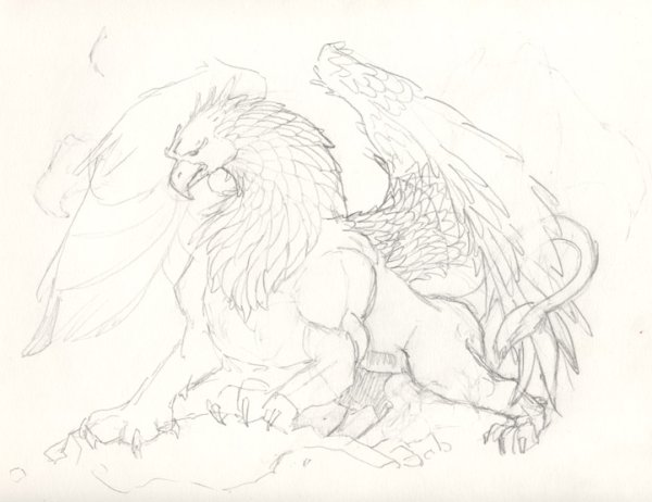 Коготь грифона карандашом