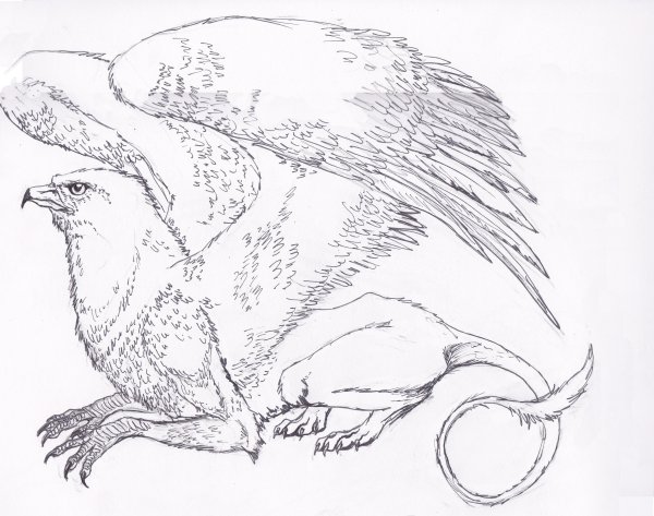 Грифон прорись