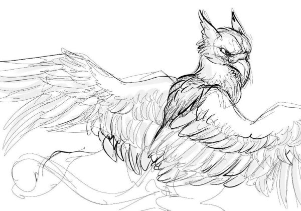Позы для рисования грифонов