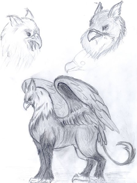 Грифон карандашом