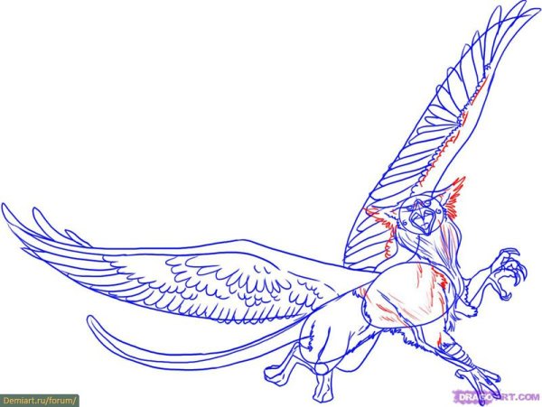 Поэтапное рисование грифона