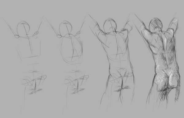 Быстрая зарисовка торса