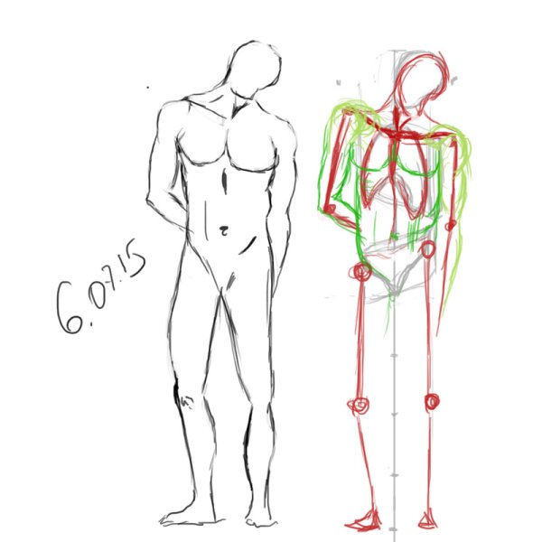 Схема рисования тела мужчины